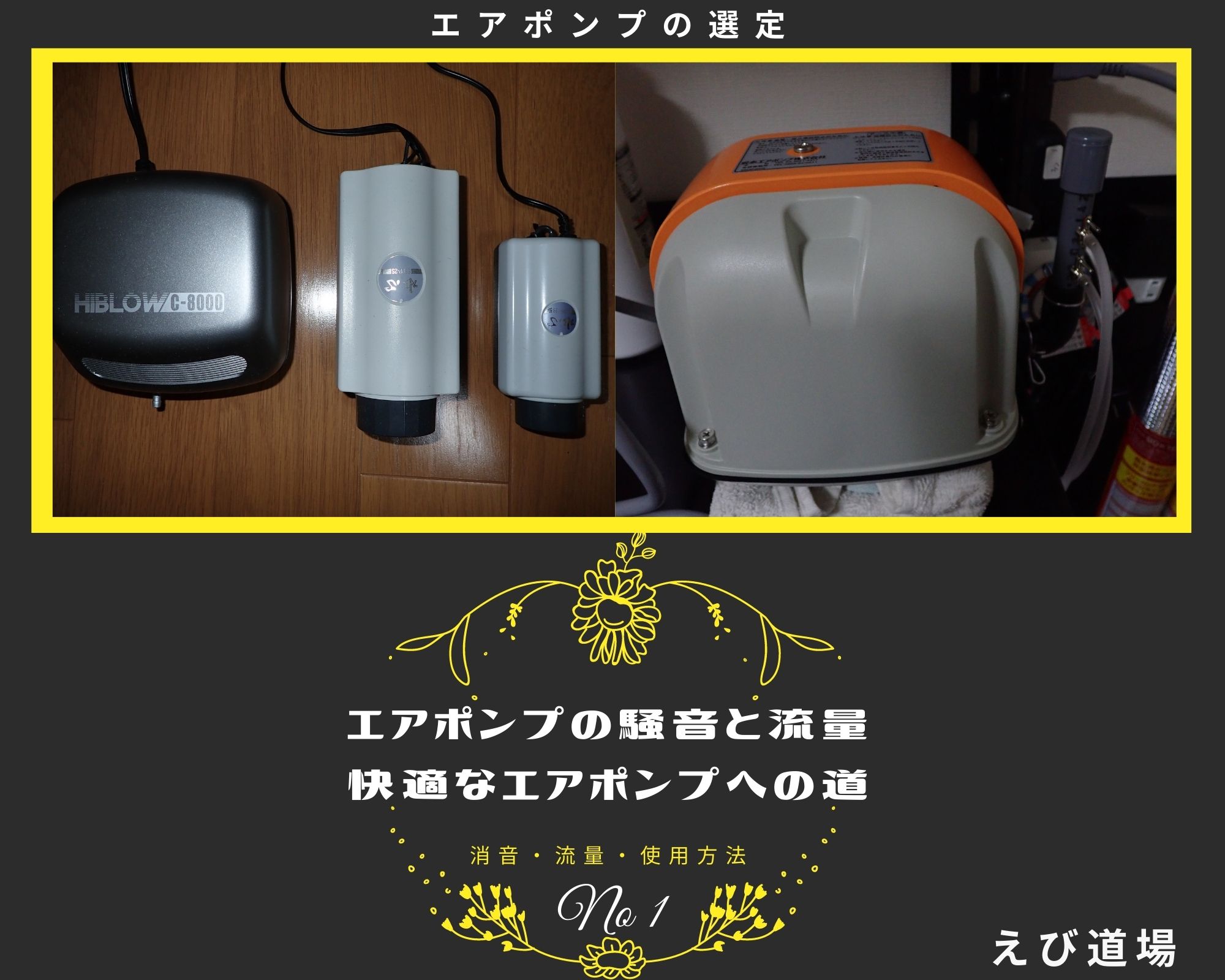 エアポンプ選定と水槽の数について体験談 No1 えび道場